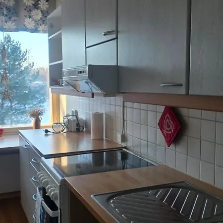 Apartament Pankkikallio 14 *
